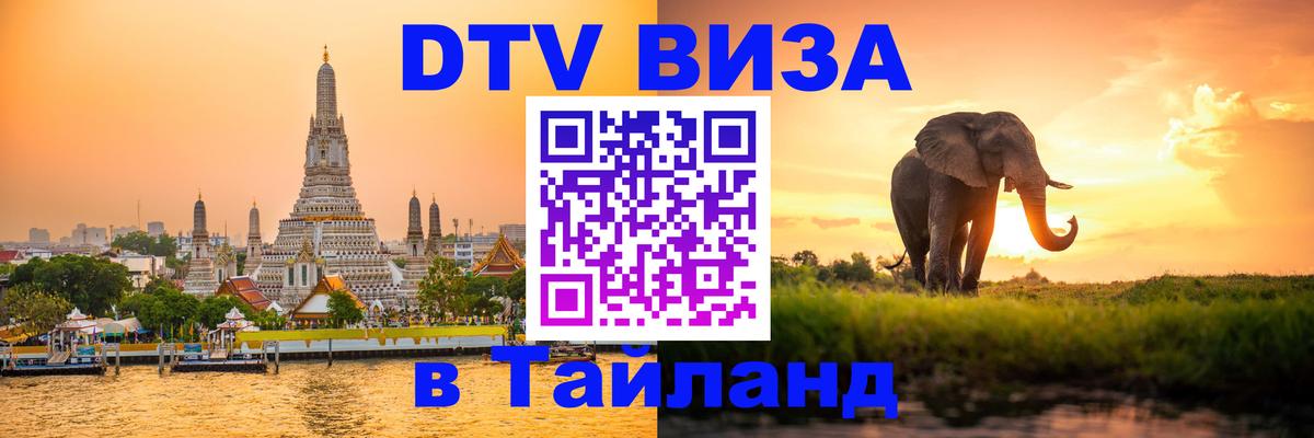 Оформление DTV визы под ключ: стоимость и тарифы, только загранпаспорт - 20.11.2025 